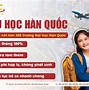 Cách Để Được Đi Xuất Khẩu Hàn Quốc 2024 Mới Nhất Download