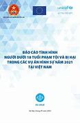 Tình Hình Người Nước Ngoài Phạm Tội Tại Việt Nam